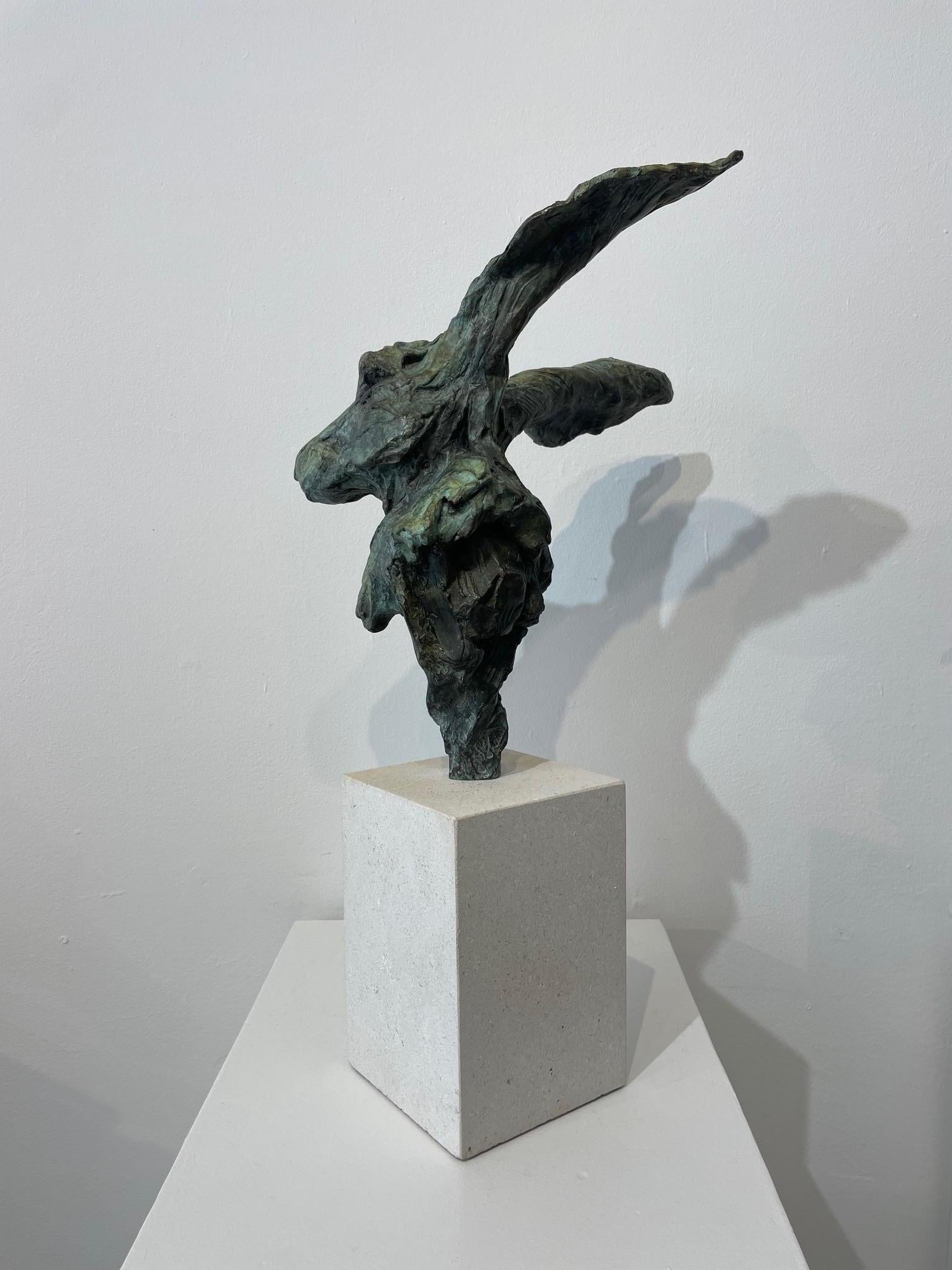 'All Ears'   a Bronze limited edition Bronze of a Hare - Contemporary Sculpture by Jane Shaw
