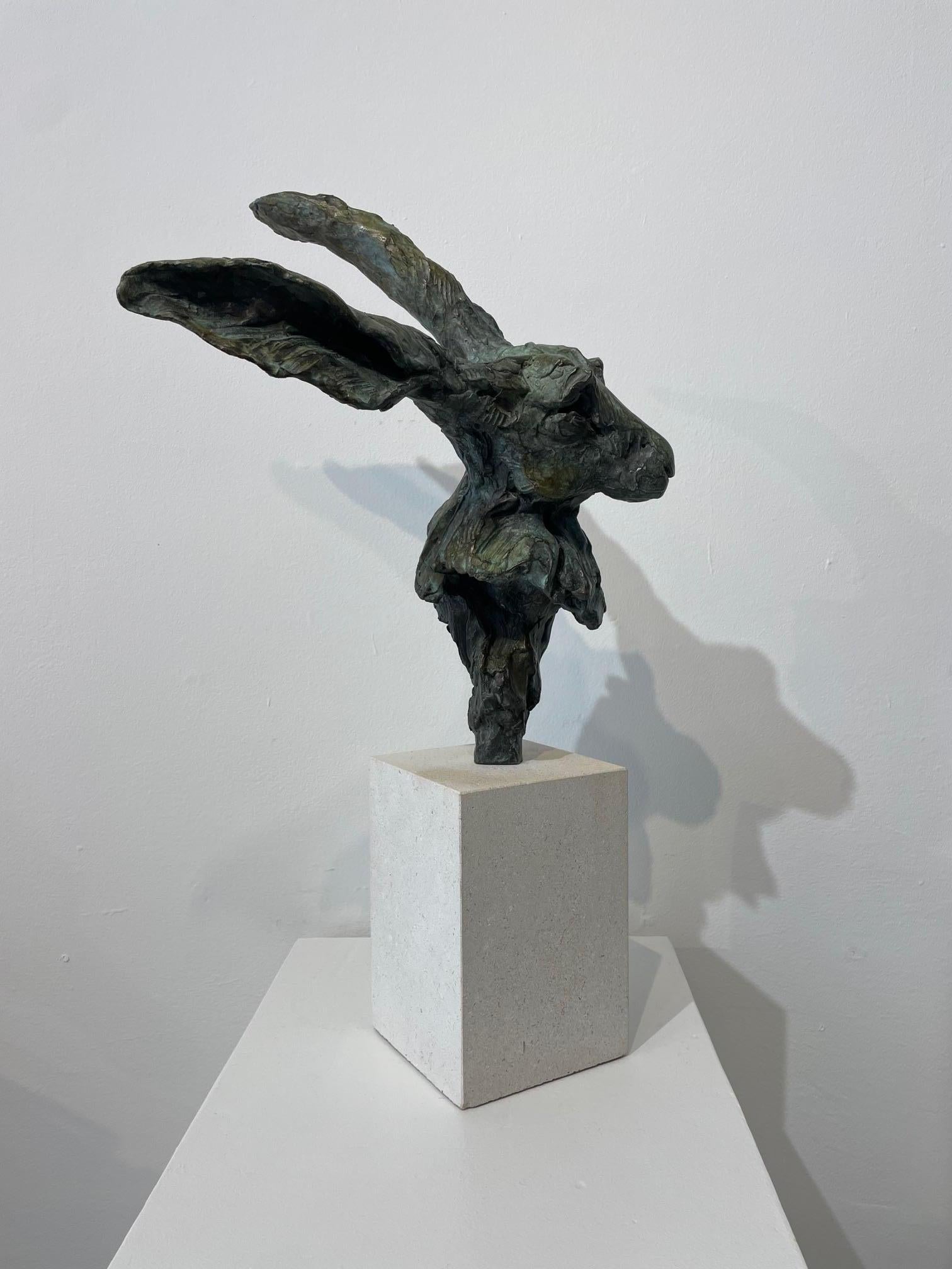 Hares are very popular animals to capture either on a canvas or as sculpture.  Jane always become very excited when she spots a hare, running, listening and looking.  A very individual feature of the Hare, are their amazing long ears, and in this