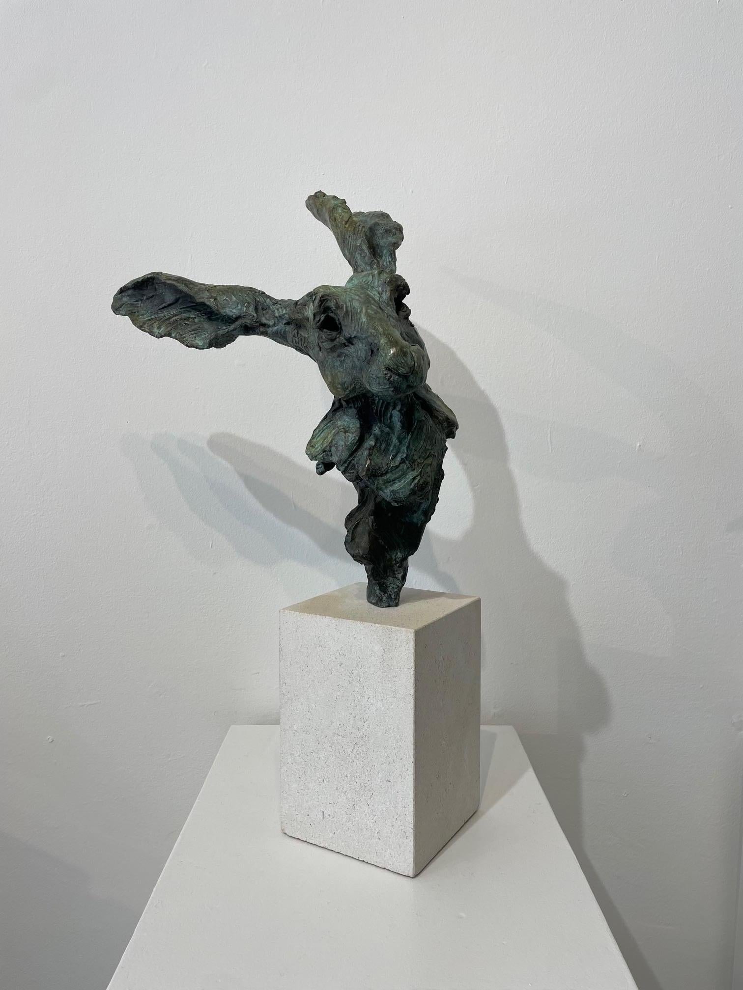 'All Ears'   a Bronze limited edition Bronze of a Hare