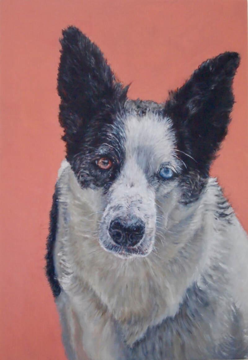 Animal Painting Jane Sutherland - Chien avec un œil bleu