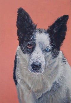 Perro con un solo ojo azul