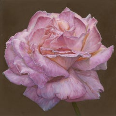 Pink Rose
