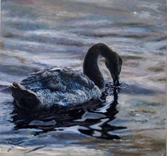 Swan on a Quiet Day in Nyack