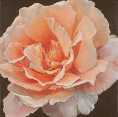 Rose mandarine