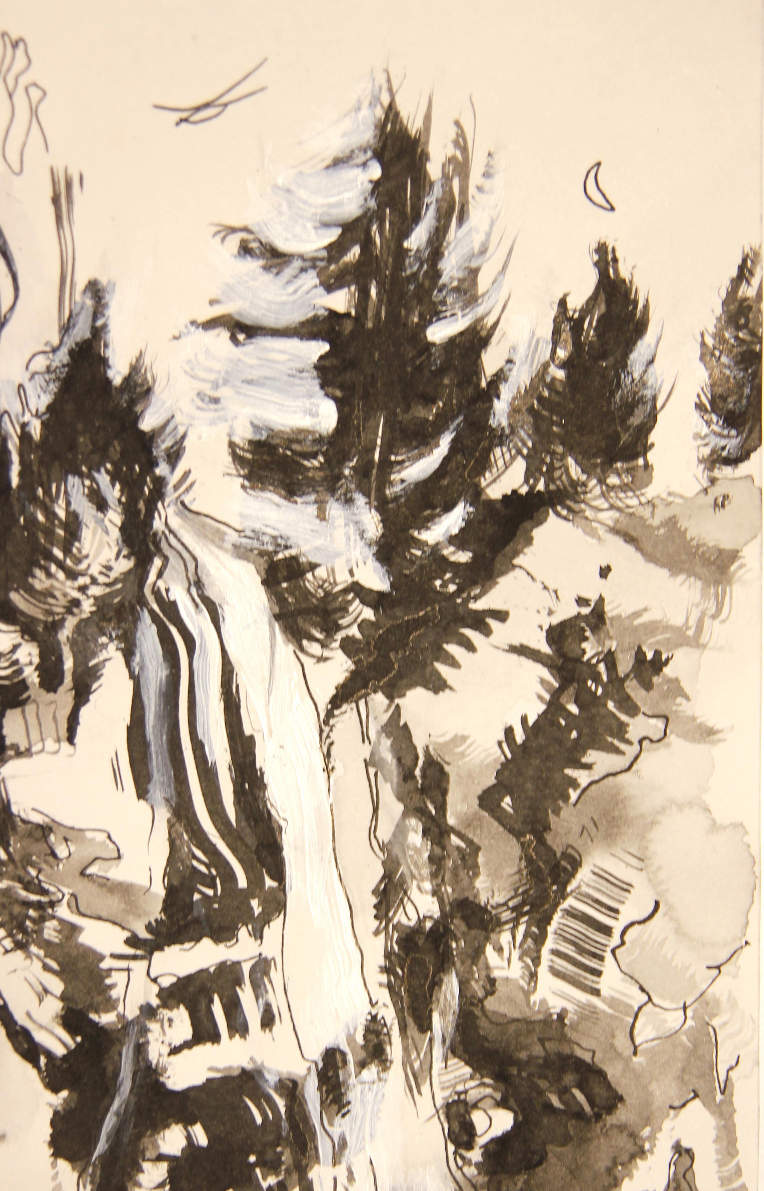 Moderne abstrakte schwarz-weiß-graue Landschaftsmalerei der amerikanischen Künstlerin Jane Tate. Das Werk zeichnet sich durch einen zentralen Wasserfall aus, der kaskadenförmig zu den darunter liegenden Becken hinabfällt. Signiert und betitelt am
