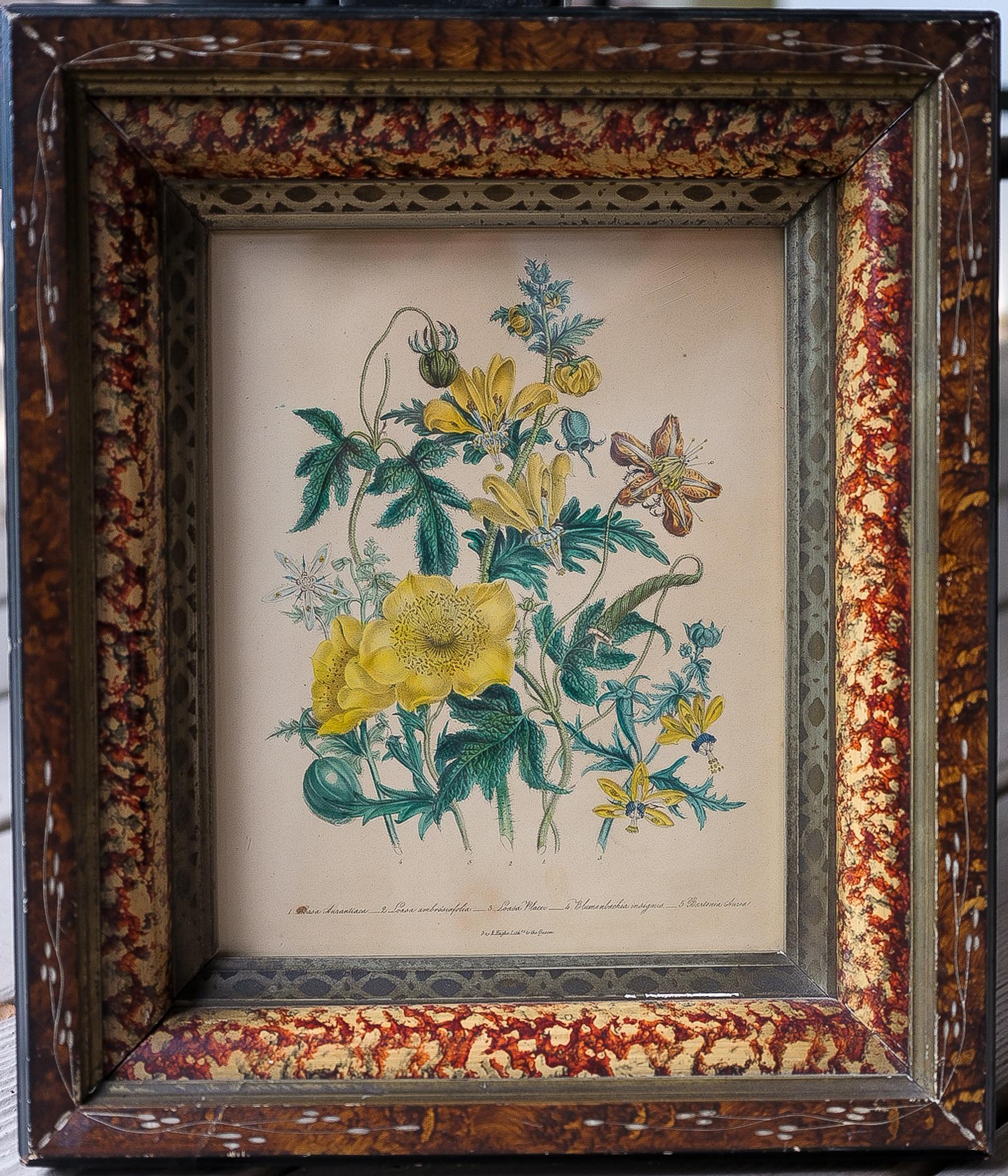 Botanical from 