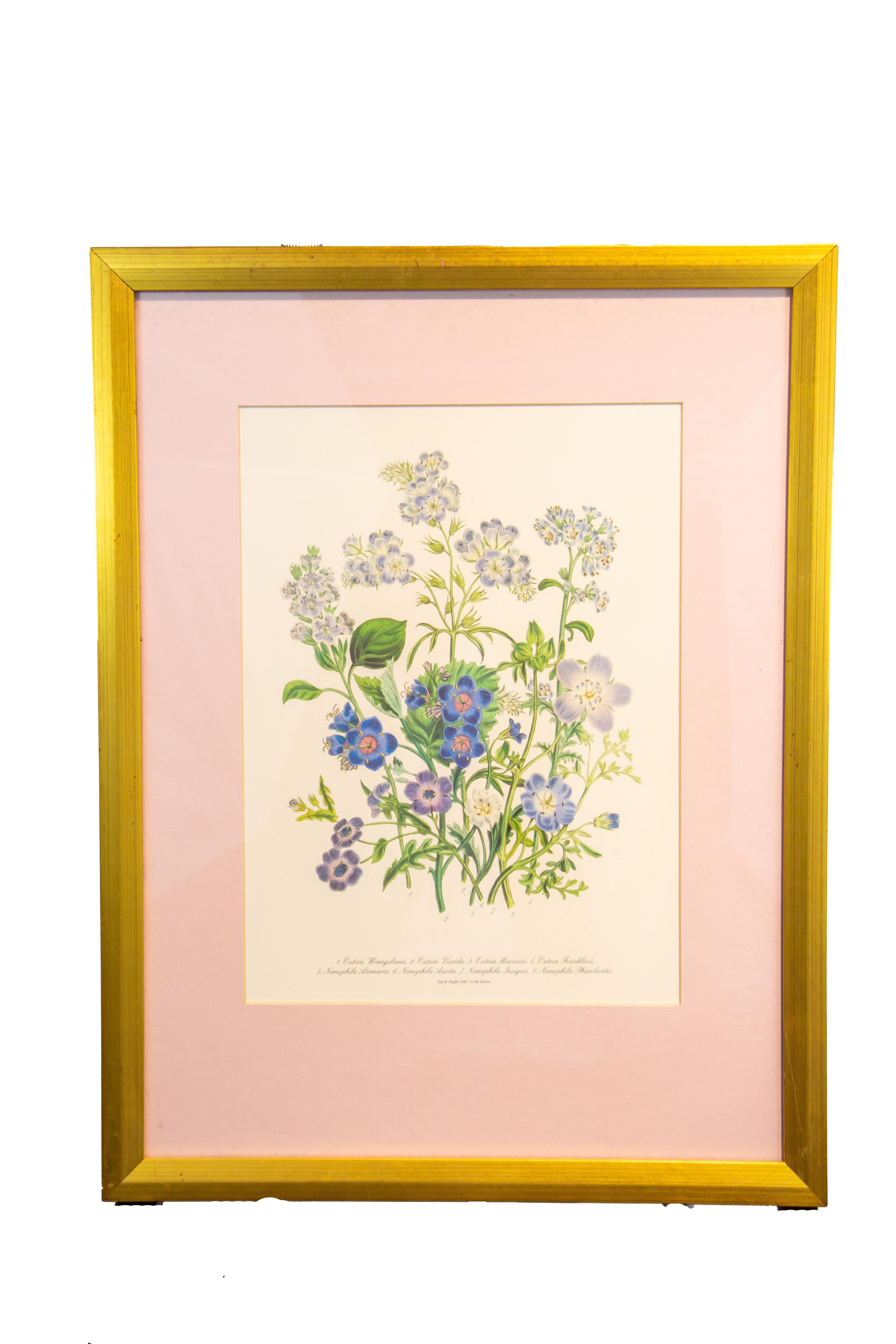 SET OF 4 LARGE FRAMED 19TH C. BOTANICAL PRINTS BY JANE WEBB LOUDON (1807-1858) 4