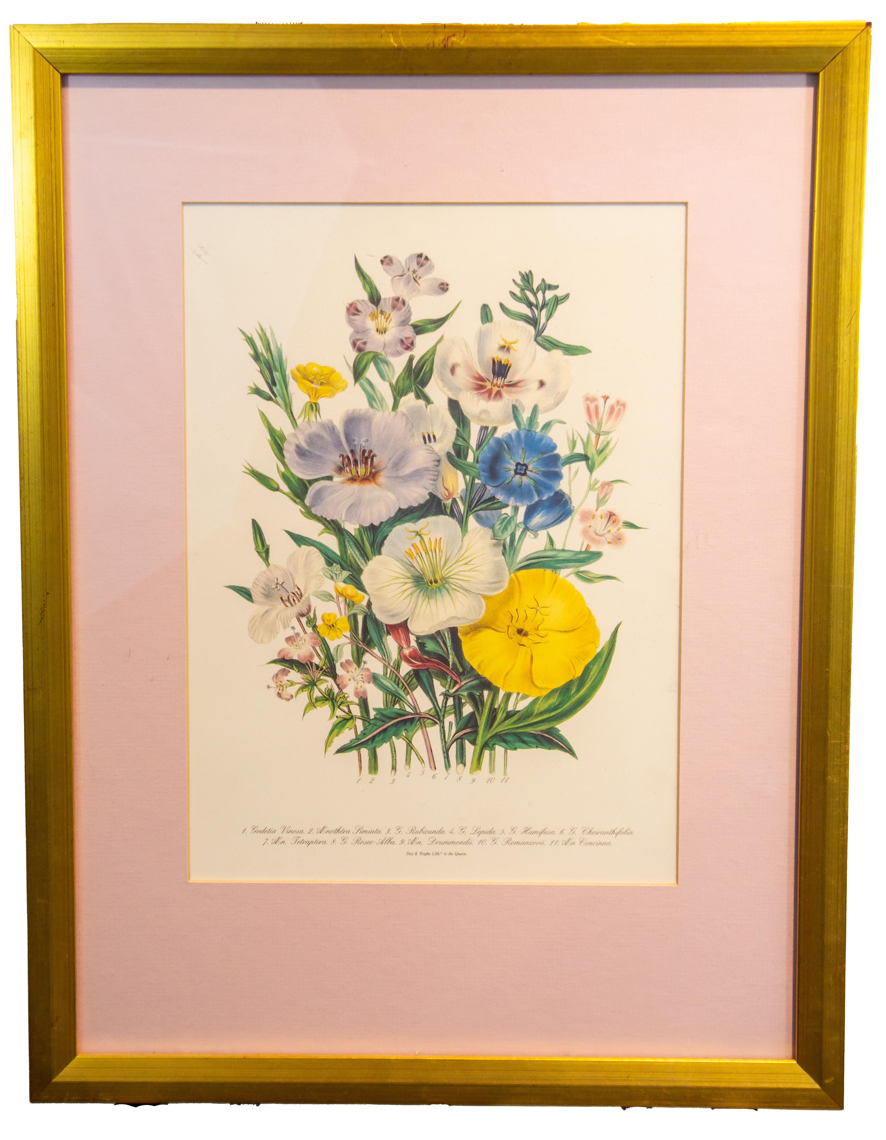 SET OF 4 LARGE FRAMED 19TH C. BOTANICAL PRINTS BY JANE WEBB LOUDON (1807-1858) 5