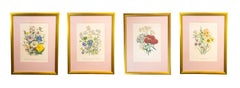 Antique SET OF 4 LARGE FRAMED 19TH C. BOTANICAL PRINTS BY JANE WEBB LOUDON (1807-1858)