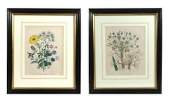 Jane Wells Loudon Botanical Prints