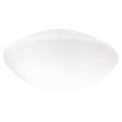 'Janeiro K' Wall or Ceiling Lamp for Nemo