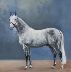 Janet Crawford, „Frosted“, 20x20, Pferdeporträt, Ölgemälde auf Leinwand