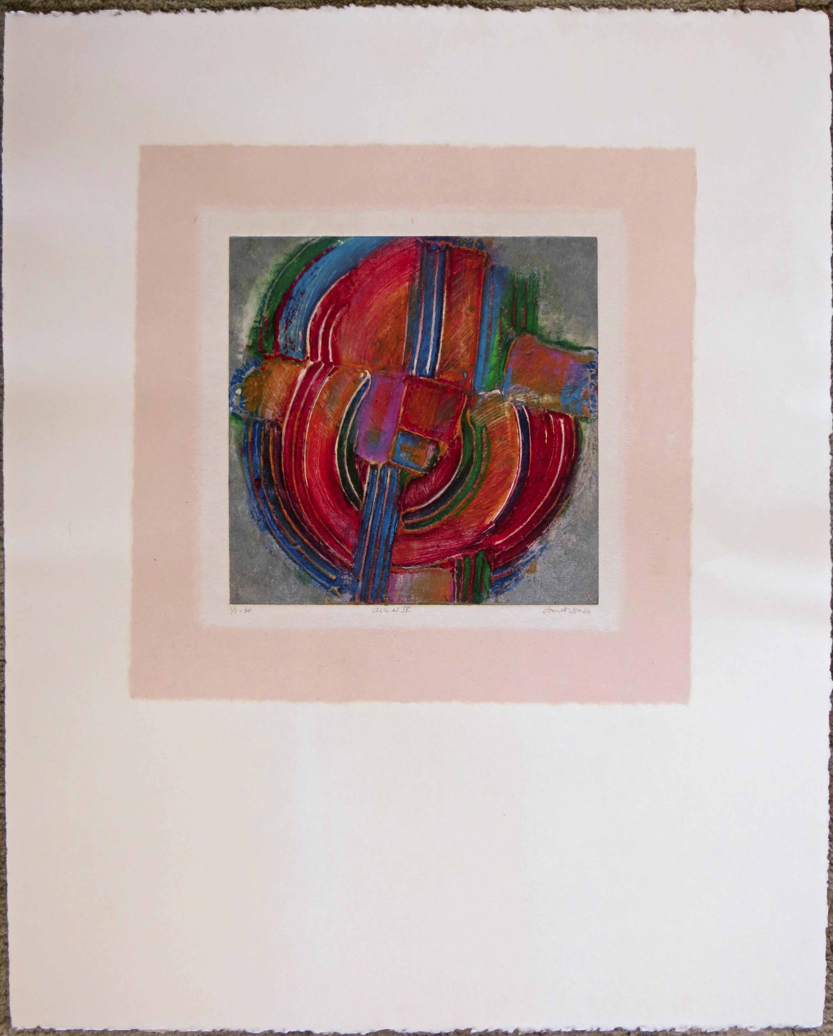 Luftbild IV. – Print von Janet Jones