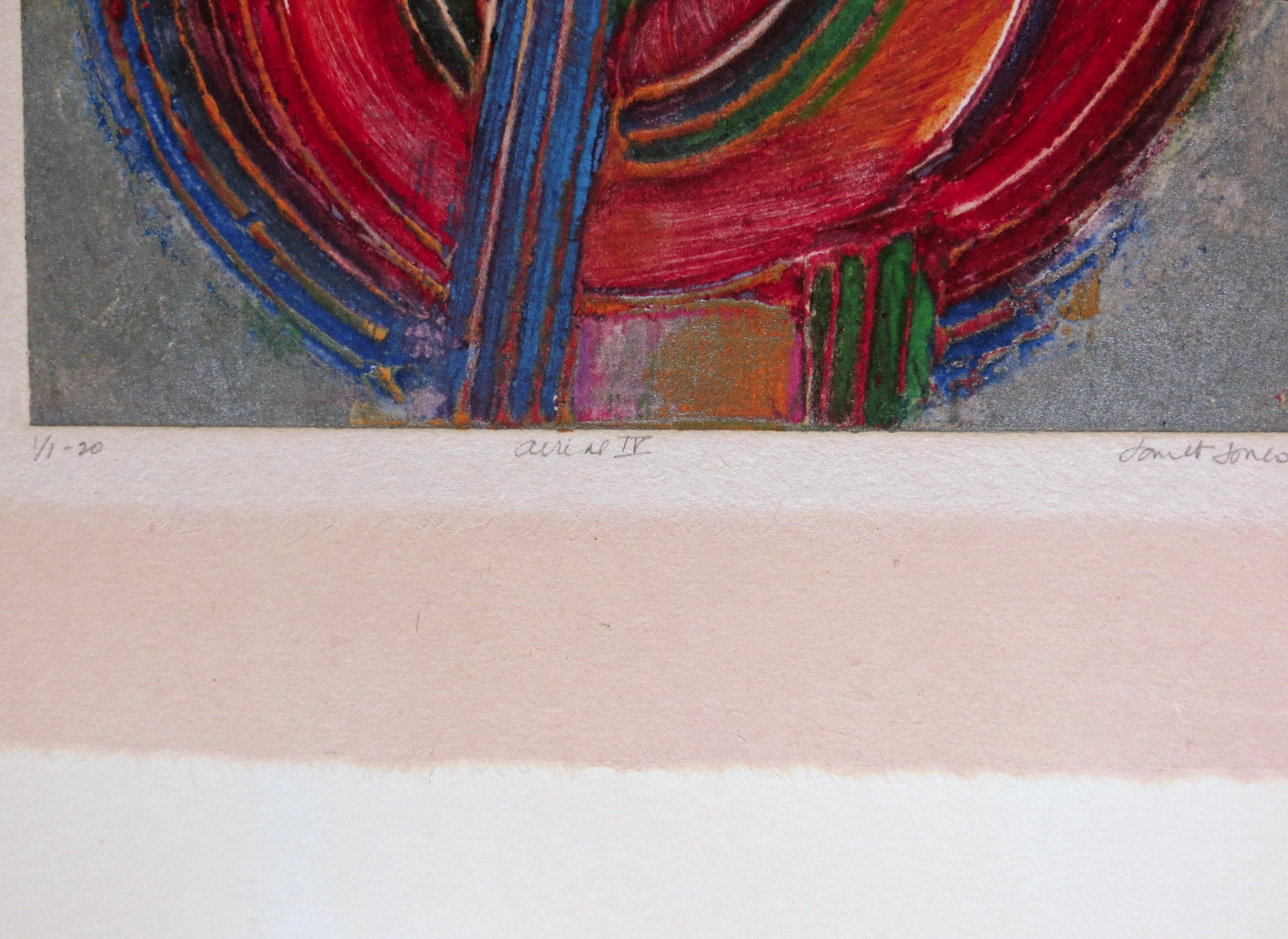 Luftbild IV. (Moderne), Print, von Janet Jones