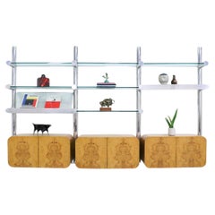 Vintage  Expertly Restored - Janet Schwietzer "Obra" Wall Unit for Pace Collection