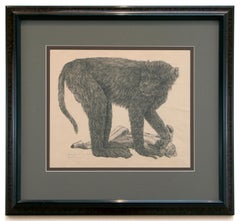 "Study of a Monkey, " Lithograph by Janet Turner