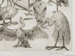 "Texas Waterfowl, " Etching by Janet Turner, 1953