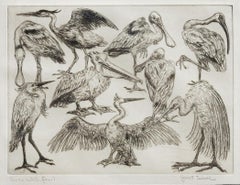 "Texas Waterfowl," Etching by Janet Turner, 1953