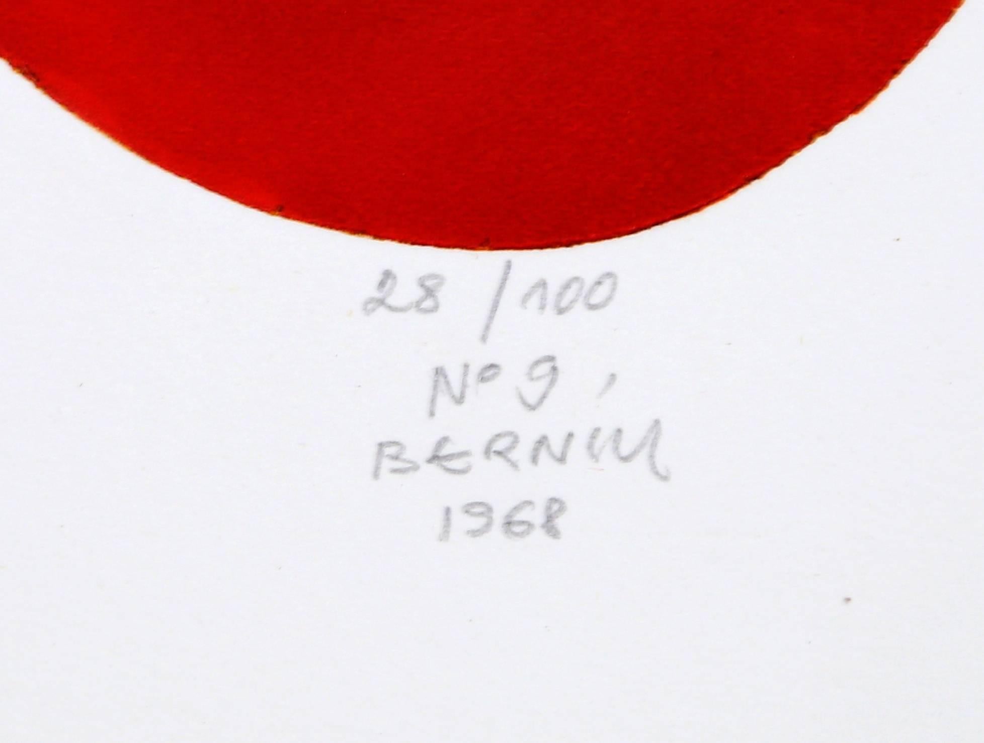 No. 9, Aquatint Etching by Janez Bernik For Sale 1