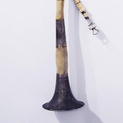 Suoni (Corno musicale)