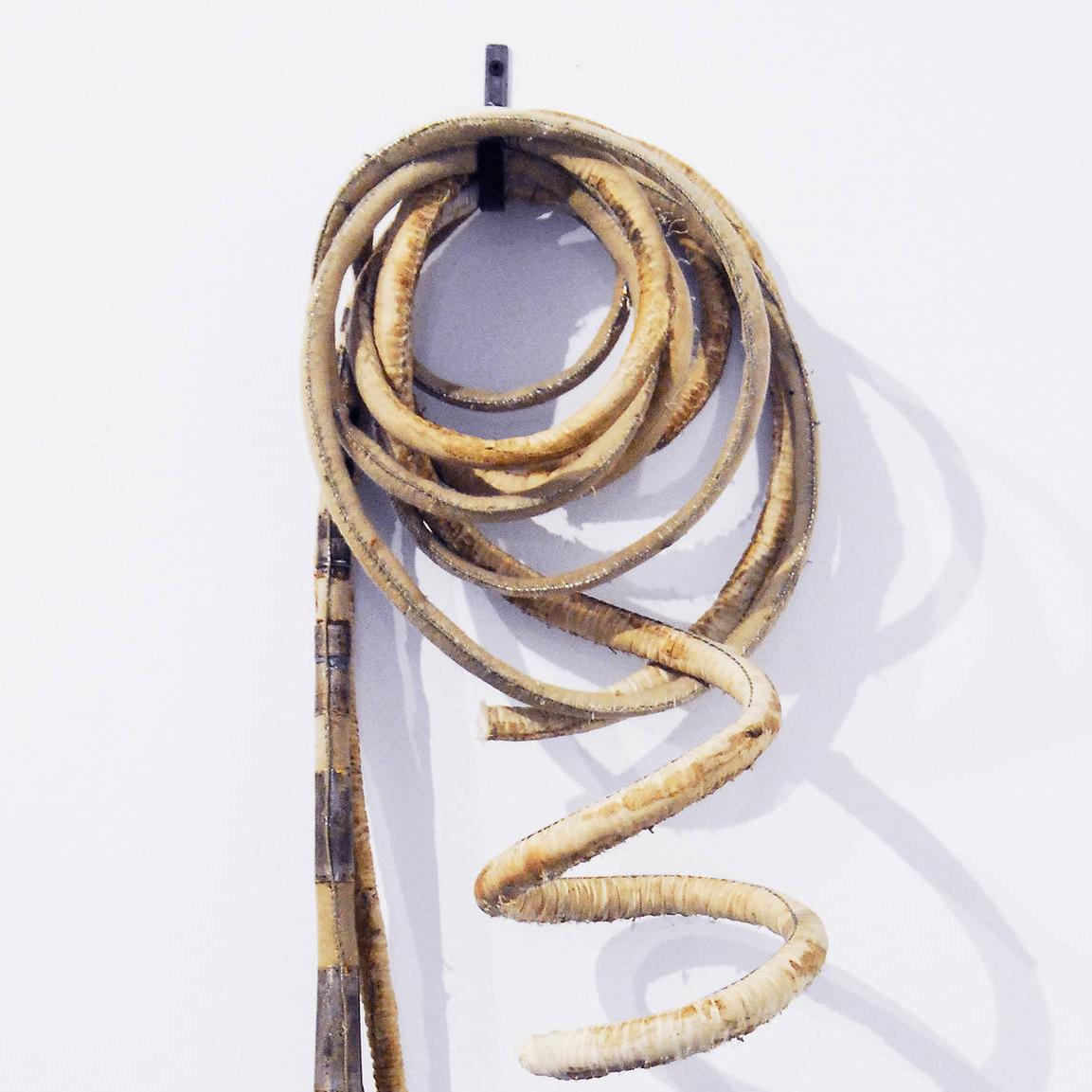 Soundings (Musikhorn) im Angebot 1