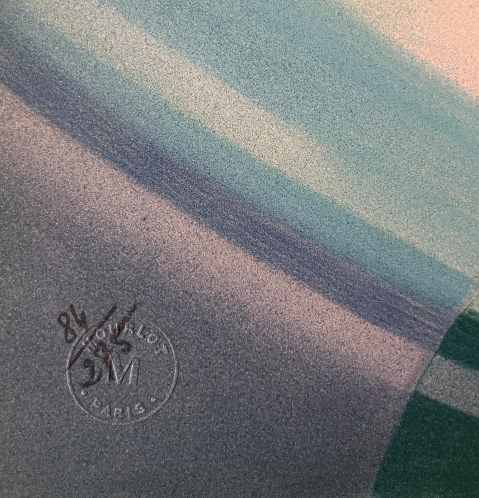 Trimaran, Fantastic Regatta - Original handsigned lithograph - Blue Figurative Print by Janick Lederle