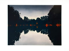 Ambona - oil on canvas, dark tones, forest, nature, landscape, figurative, water