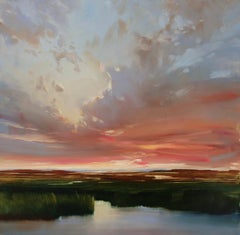 "Atardecer Rojo" Las nubes se extienden por el cielo en bandas de color rosa, reflejándose en un pantano