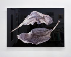 Silver Leaves - Stampa a pigmenti d'archivio, firmata, Ed. 4/20, 20 x 30 pollici, montata