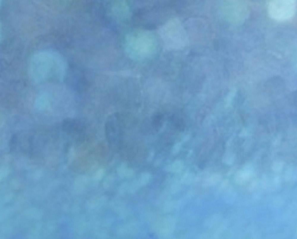 Blu ossidiana (Pittura astratta) - Painting Astratto di Janise Yntema