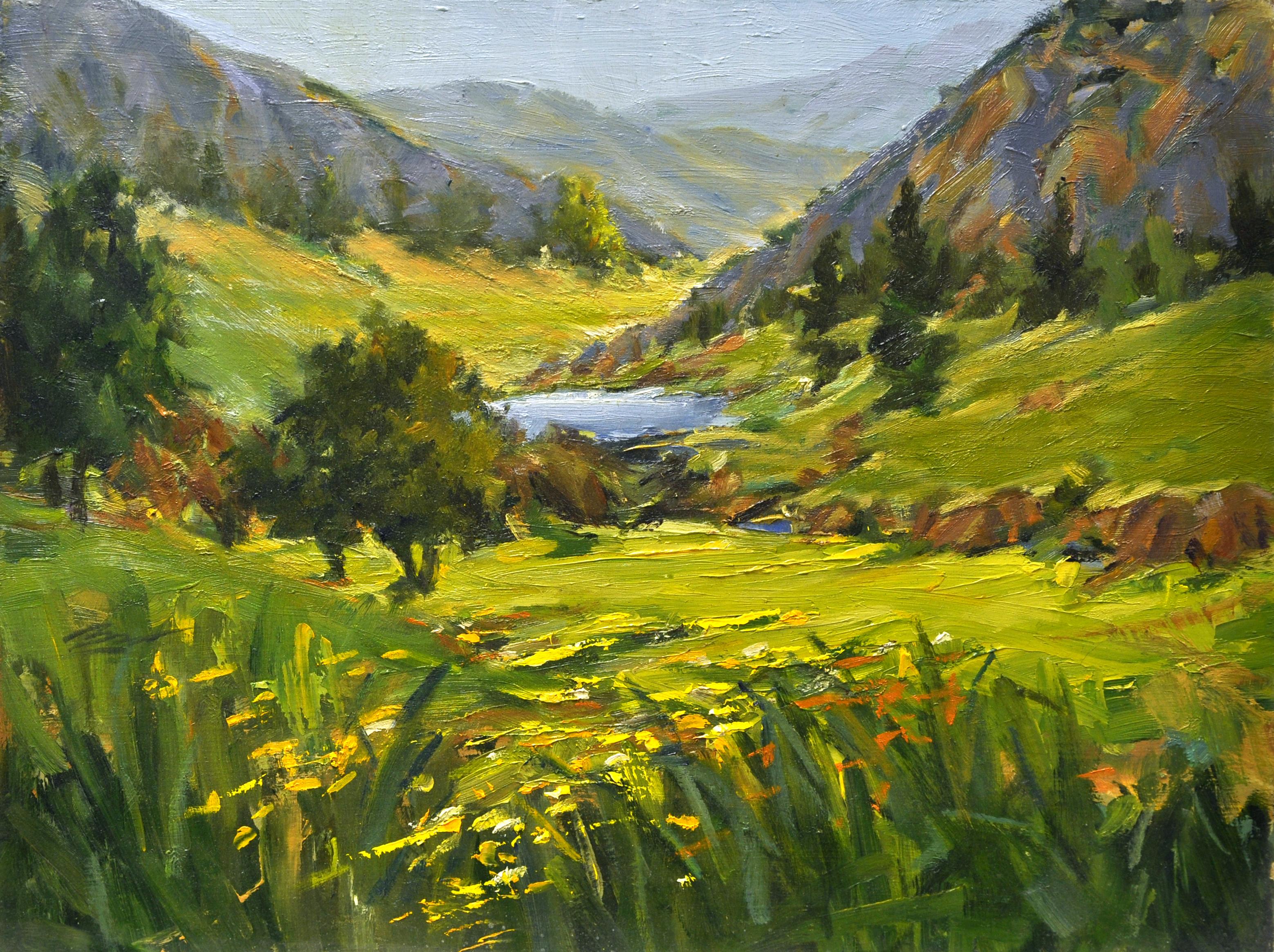 "Vista del valle" (2009) de Jann T. Bass, Pintura al óleo original de paisaje