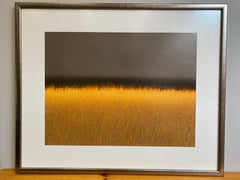 Gold Savannah  - Contemporary Landscape Oil Pastel Painting