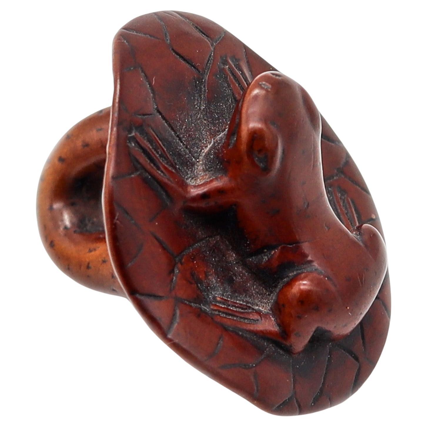 GIAPPONE 1900 Periodo Meiji Netsuke in legno intagliato di rana che riposa in un loto