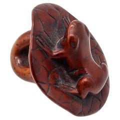 Antique JAPAN 1900 Meiji Period Carved Wood Netsuke Of Frog Resting In A Lotus