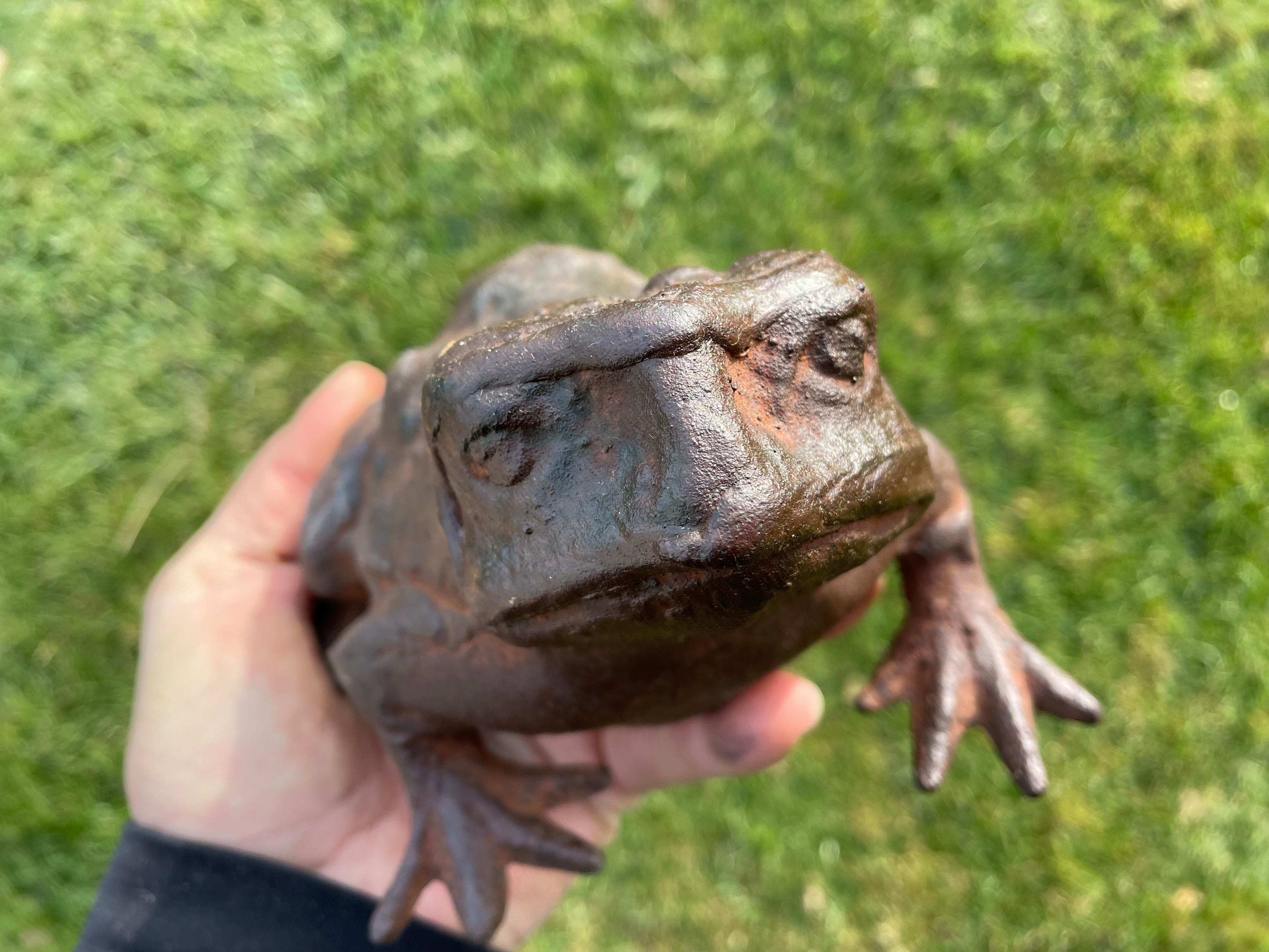 Japan Big Antique Cast Frog Toad Kaeru 8