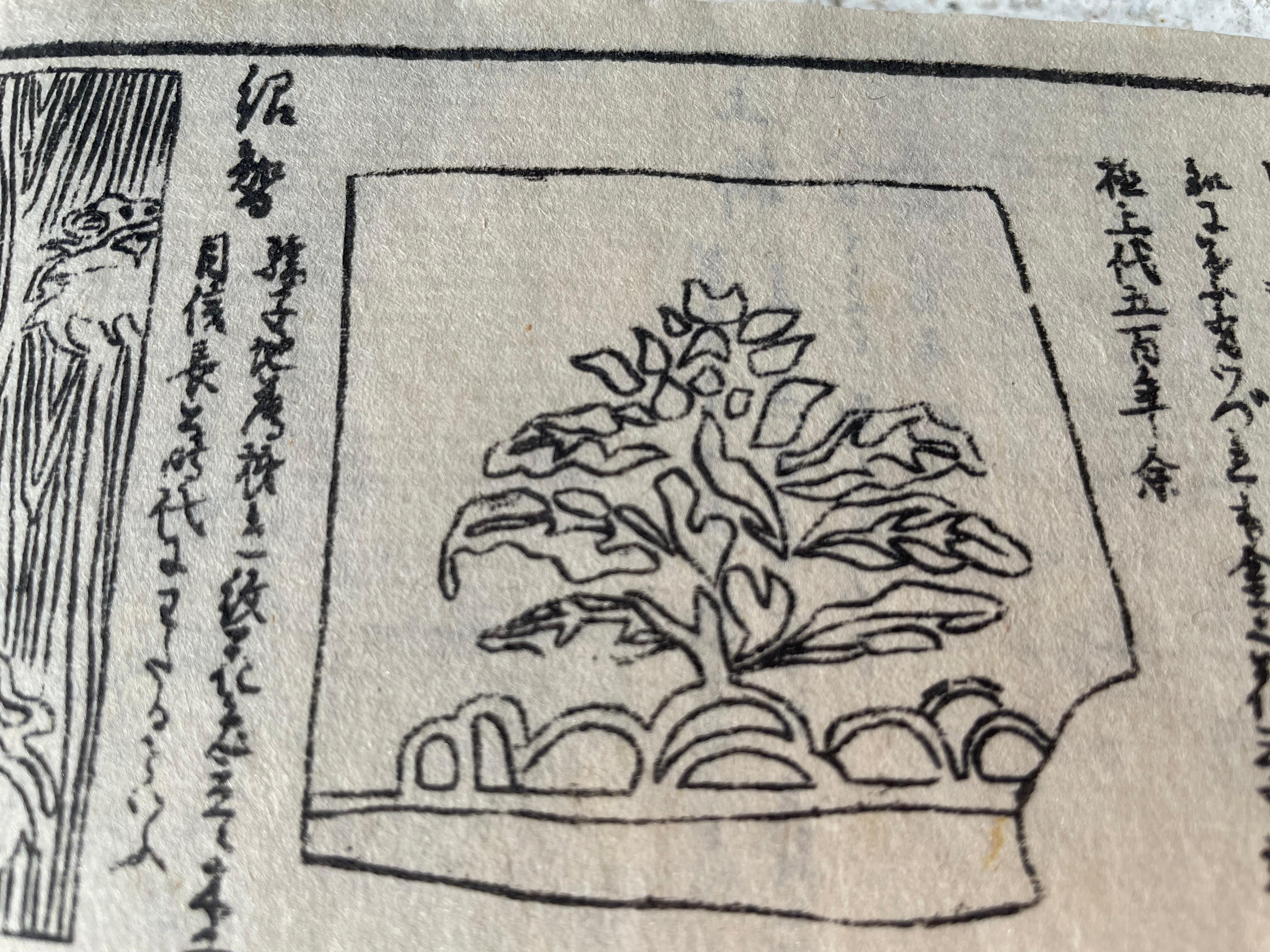 Japan Antique Tea Guide Chado Ceremony Woodblock Prints Book 1850 3