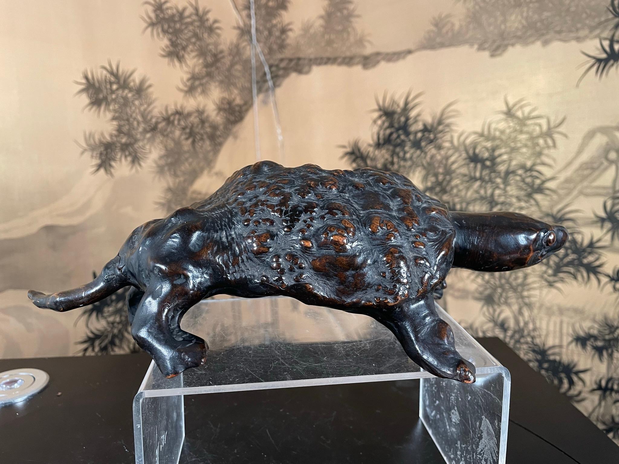Japan Antique Unique 19th Century Natural Burl Wood Turtle 3