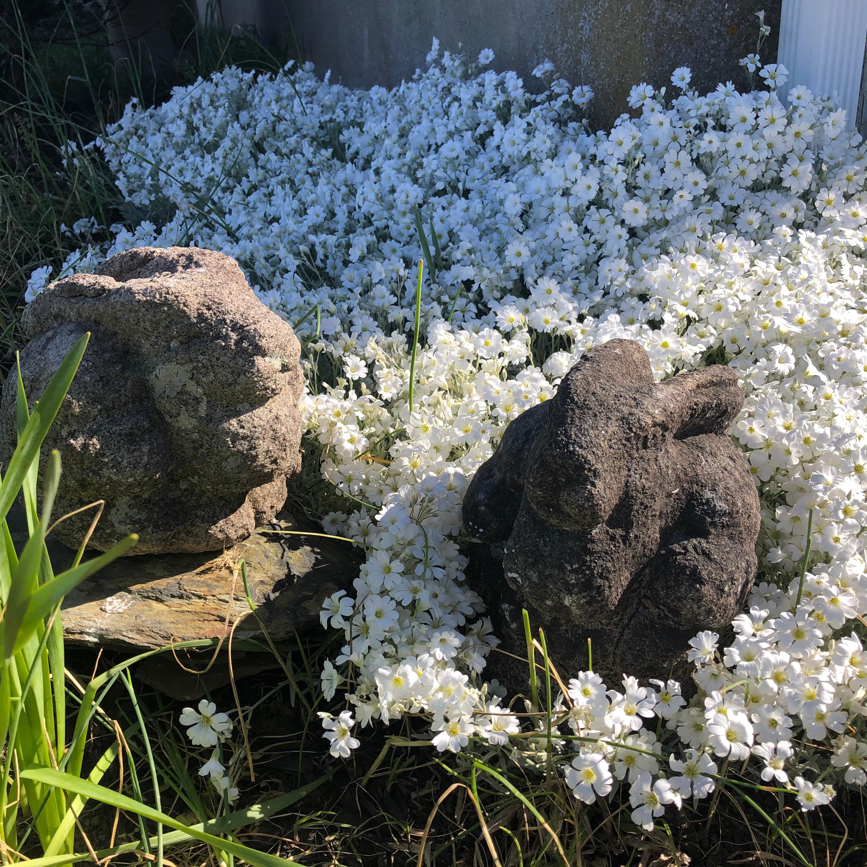 Japan Big Eared Antique Stone Garden Rabbit  2