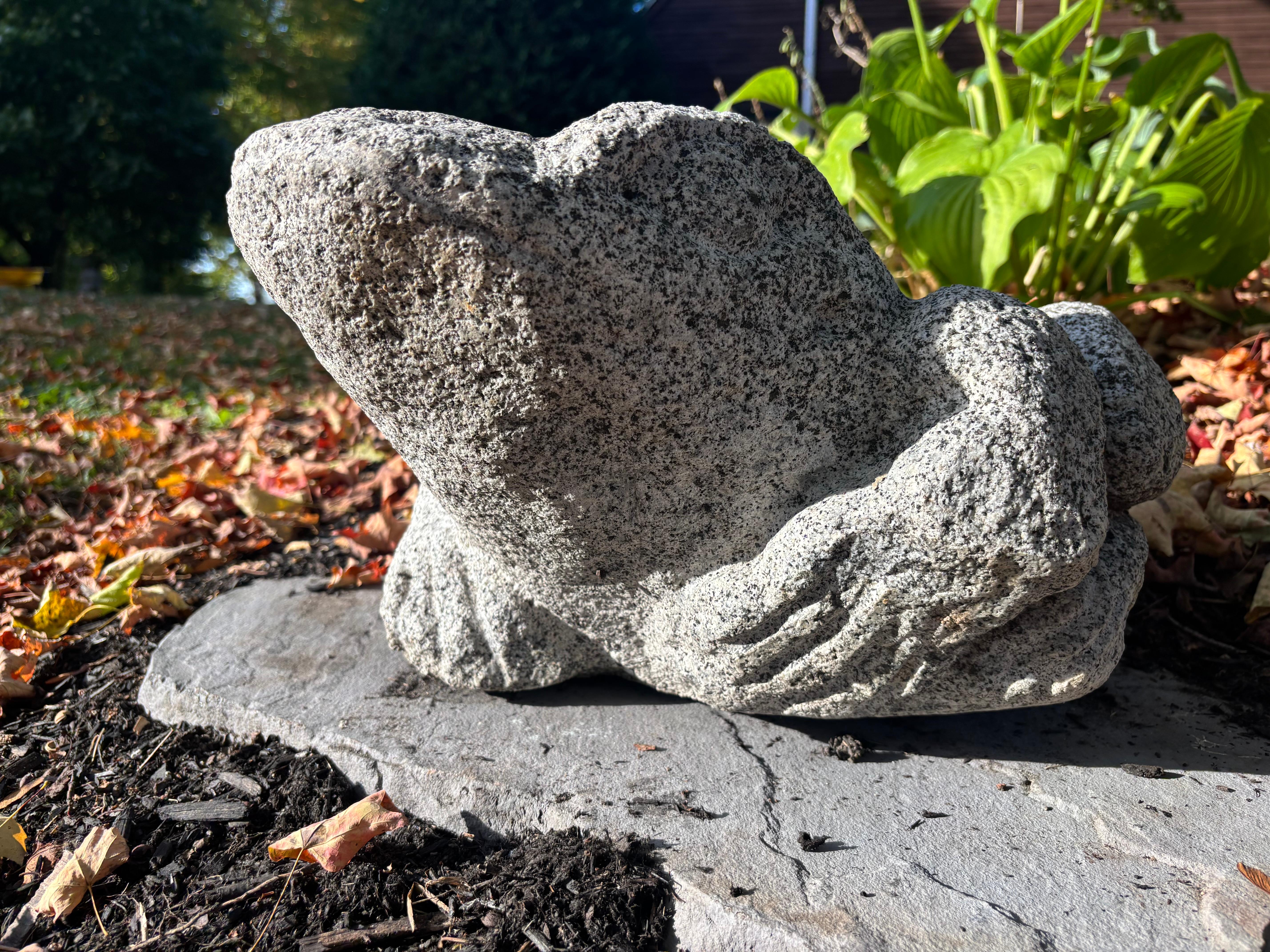 Giappone Grande rana da giardino A. Stone 15