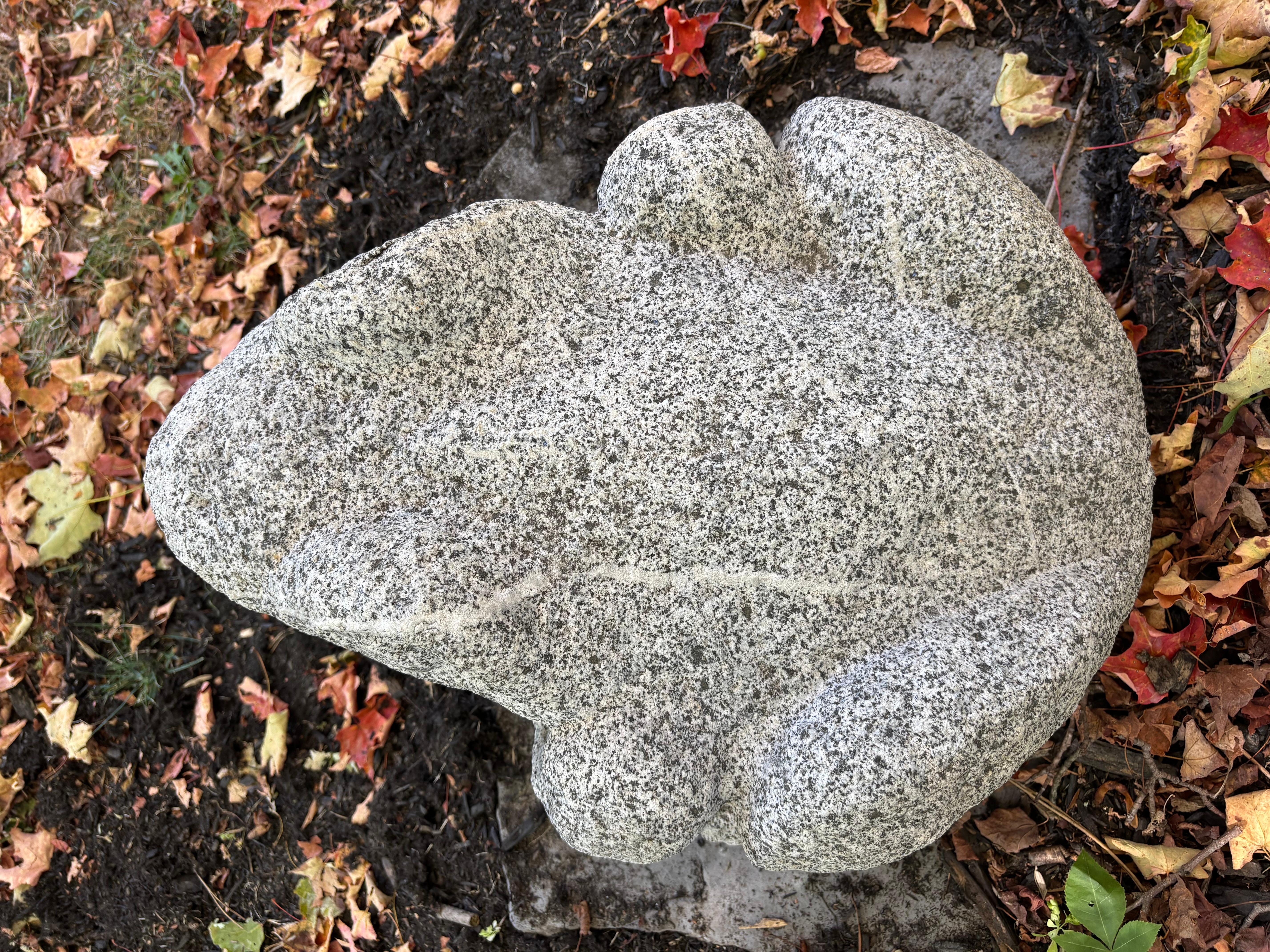 Giapponese Giappone Grande rana da giardino A. Stone 15