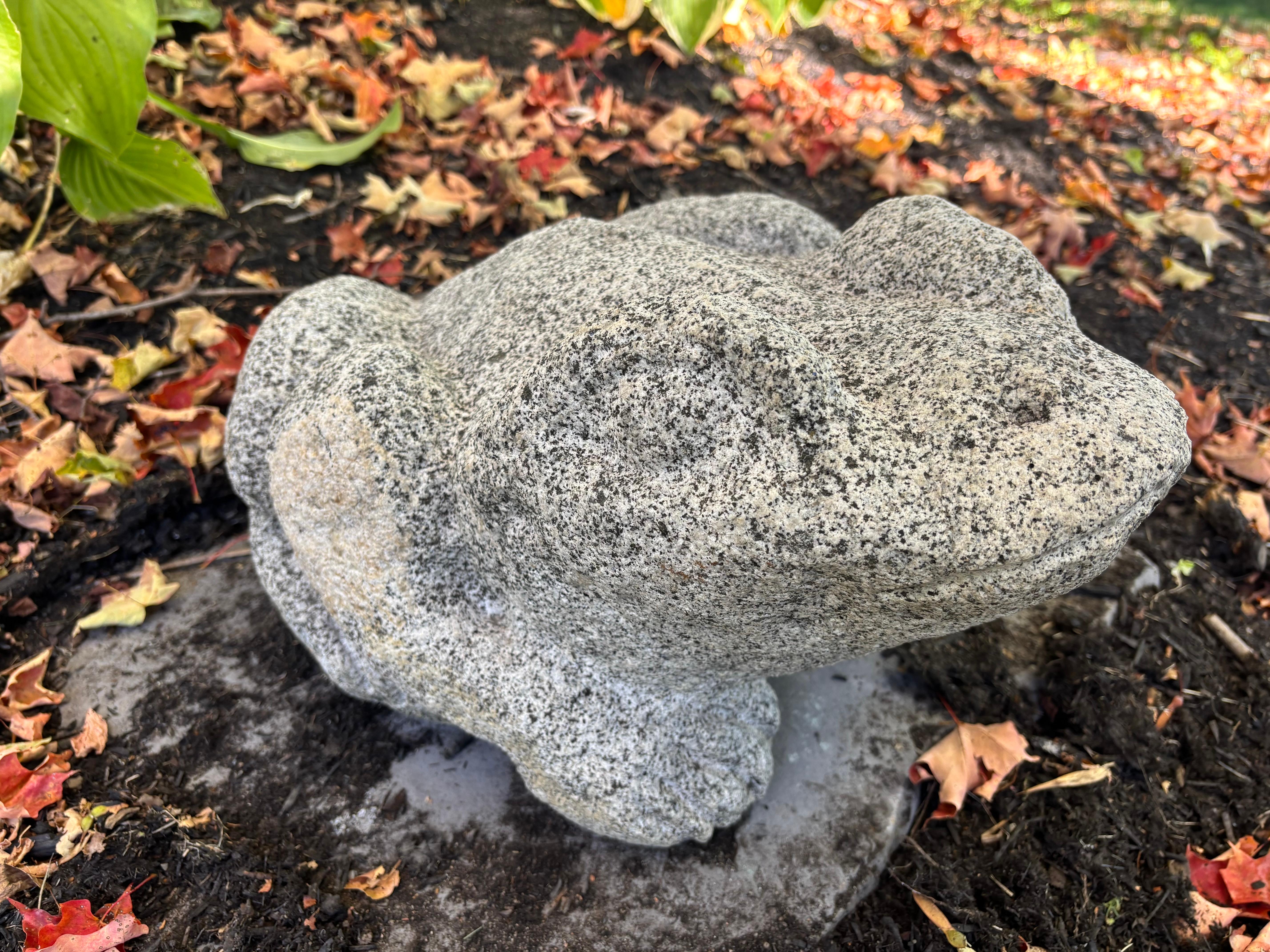 XX secolo Giappone Grande rana da giardino A. Stone 15