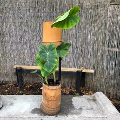 Japan Big Vintage Bamboo Ikebana Vase, Ni-ju-giri, with Black Lacquer Details