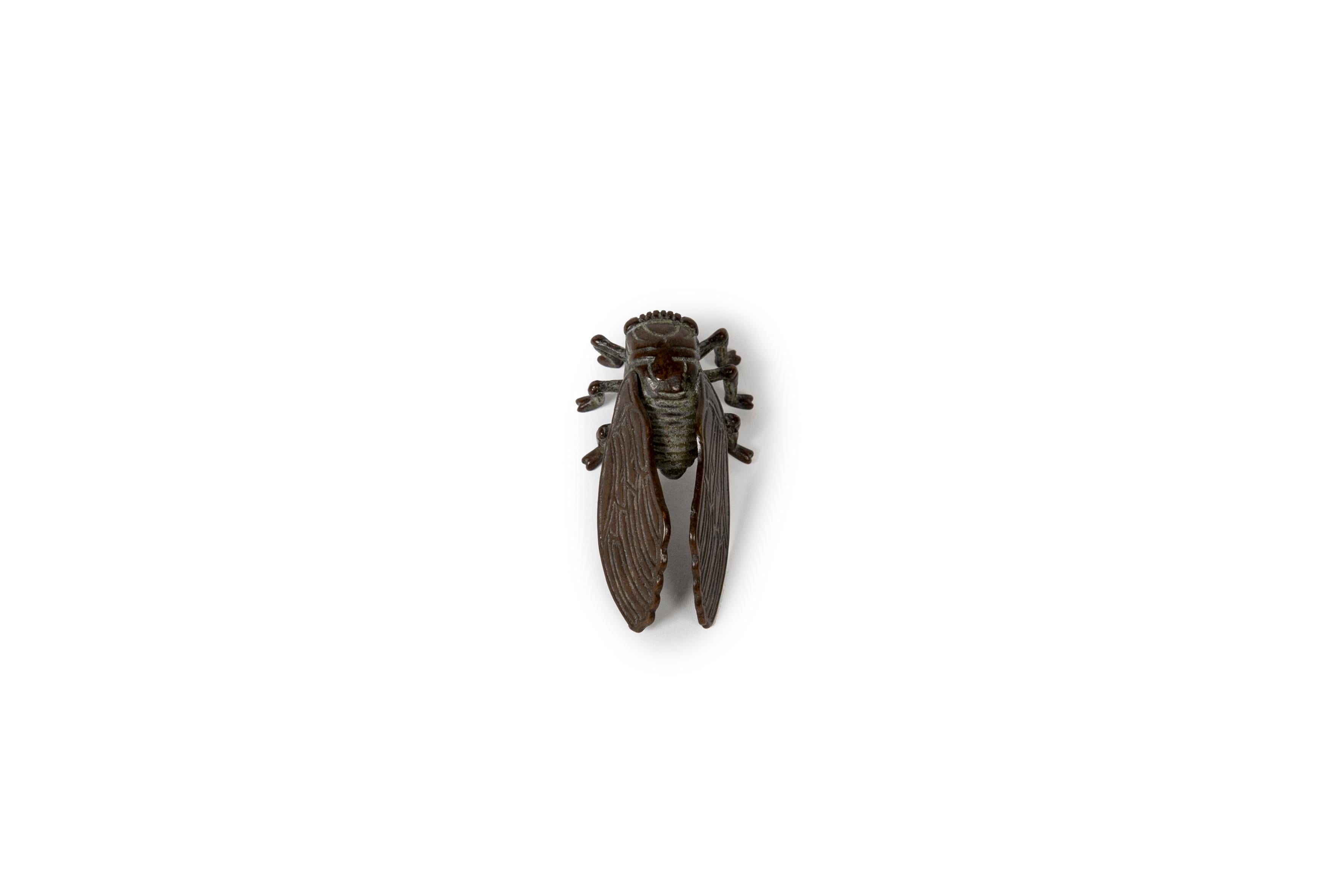 Bronze sculpture with dark brown patina of a cicada.

The cicada (in Japanese, semi) is considered as a symbol of humanity. Together with a praying mantis and a spider, they represent the three virtues of a general: humanity, courage and