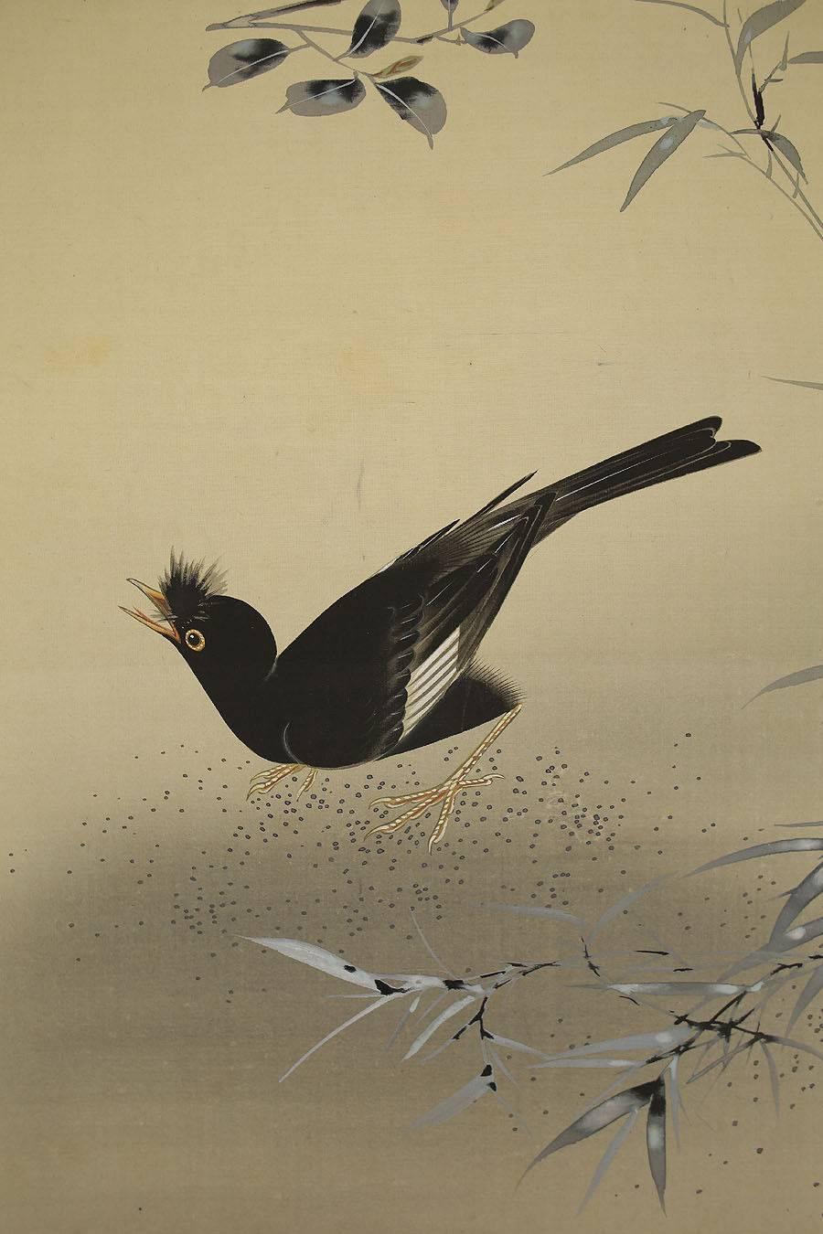 Showa Japan Crested Myna Bird and Flowers Hand-Painted Silk Scroll, Domoto