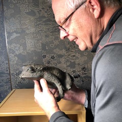 Japan Fine Antique Bronze "Frog" Fountain Kaeru 100 Years Old