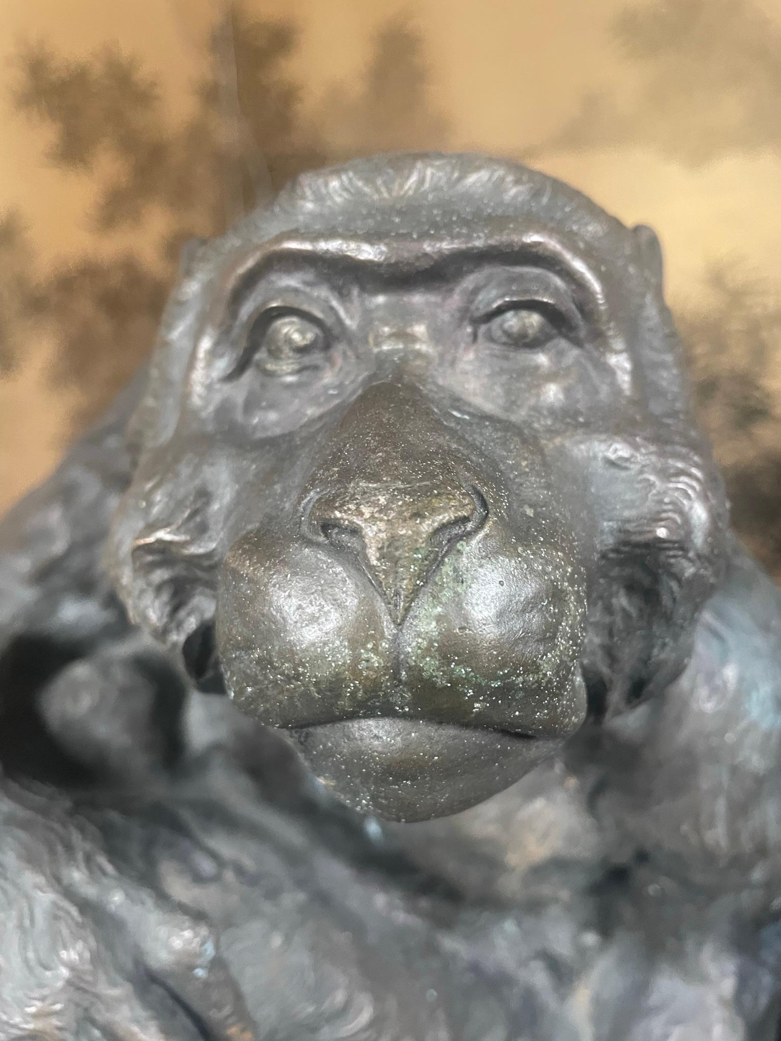 20th Century Japan Fine Large Antique Bronze Monkey With Fine Details