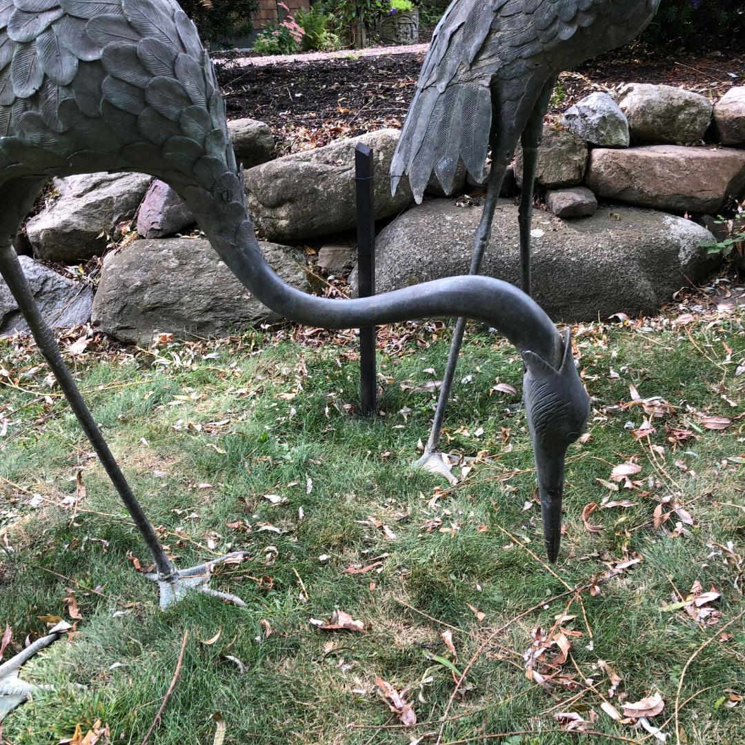 Japan Huge Pair of Cast Bronze Cranes Beautiful Feathers, Head Details 3