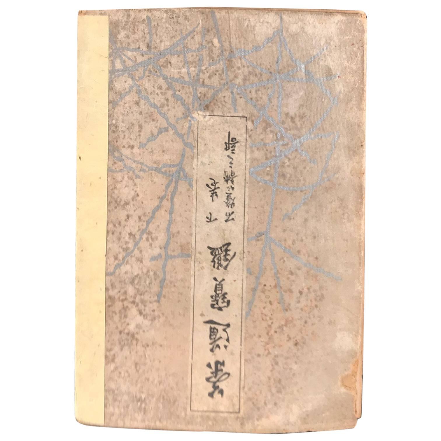 Japan Important Antique Tea Garden Lanterns Woodblock Guide Book, 100 Toro