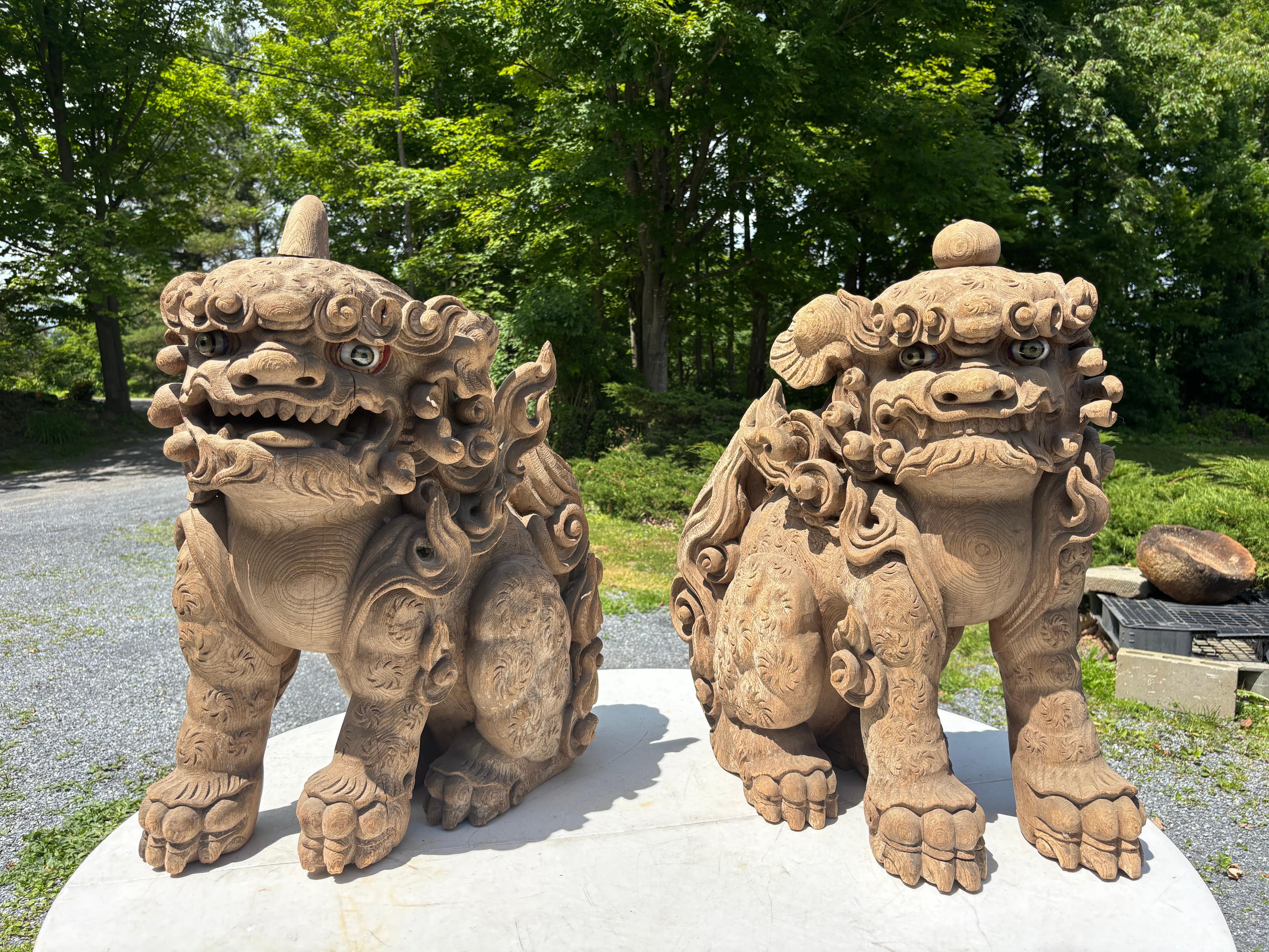 Edo Importante paire de lions du début du temple Shinto sculptés à la main, 18ème siècle en vente