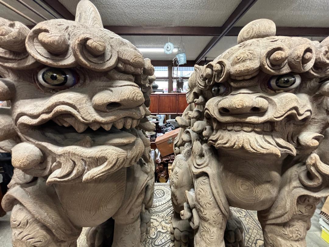 Japan Important Large Pair Early Shinto Temple Lions Hand-Carved, 18th Century For Sale 5